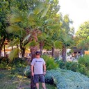 ���������� ���������, ���� ������� �����, 46 ���, ������������ ��� ������, ����� � ���������, c�������� ���������, ���������