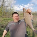 ���������� ��������, ���� ������� ������, 46 ���, ������������ ��� ����� � ���������, c�������� ���������