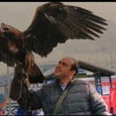 ���������� ������, ���� ������� Meysam, 39 ���, ������������ ��� ������, ����� � ���������