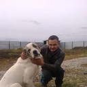 ���������� ������, ���� ������� 87475071028, 35 ���, ������������ ��� ������, ����� � ���������, c�������� ���������