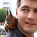 ���������� �����������, ���� ������� Davi��, 37 ���, ������������ ��� ������, ����� � ���������, c�������� ���������