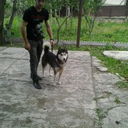 ���������� �������, ���� ������� ����������, 33 ����, ������������ ��� ������