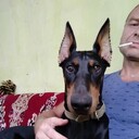 ���������� ��������������, ���� ������� ������, 46 ���, ������������ ��� ������, ����� � ���������, c�������� ���������