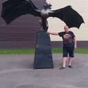 ���������� ���������, ���� ������� ���������, 46 ���, ������������ ��� ����� � ���������, c�������� ���������