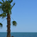 ���������� ��������, ���� ������� ������, 29 ���, ������������ ��� ������, ����� � ���������, c�������� ���������