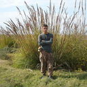 ���������� �������, ���� ������� ����, 35 ���, ������������ ��� ������