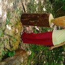  ,   , 48 ,   ,   