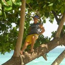 ���������� ������, ���� ������� ������, 50 ���, ������������ ��� ������, ����� � ���������