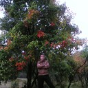  ,   , 34 ,   