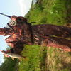 ,   , 51 ,   ,   , c 