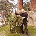 ���������� ����, ���� ������� Eli, 42 ����, ������������ ��� ������