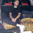 ���������� ������, ���� ����� �����, 23 ����, ������������ ��� ������, ����� � ���������, c�������� ���������