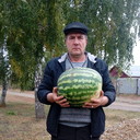  ,   , 60 ,   ,   , c 