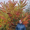  ,   , 63 ,   ,   , c 