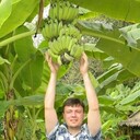 ���������� �������, ���� ������� �����, 44 ����, ������������ ��� ���������