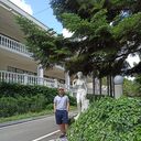 ���������� ������, ���� ������� ������, 36 ���, ������������ ��� ������, ����� � ���������, c�������� ���������, ���������