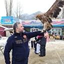 ���������� ����������, ���� ������� �����, 40 ���, ������������ ��� ������, ����� � ���������, c�������� ���������