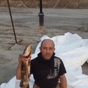 ���������� �����������, ���� ������� ����, 55 ���, ������������ ��� ����� � ���������, c�������� ���������