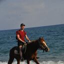 ���������� ������, ���� ������� ������, 31 ���, ������������ ��� ������, ����� � ���������, c�������� ���������