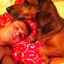 ���������� ������, ���� ������� Vitowa, 40 ���, ������������ ��� ������, ����� � ���������, c�������� ���������