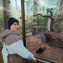 ���������� ����������, ���� ������� �������, 38 ���, ������������ ��� ������, ����� � ���������, c�������� ���������, ���������