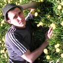 ���������� ��������, ���� ������� ��������, 38 ���, ������������ ��� ������, ����� � ���������, c�������� ���������