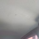 ���������� �����, ���� ������� �����, 42 ����, ������������ ��� ������, ���������