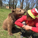 ���������� �����������, ���� ����� ���, 25 ���, ������������ ��� ������