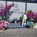 ���������� ��������, ���� ������� �����, 57 ���, ������������ ��� ������, ����� � ���������