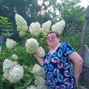  ,    , 65 ,   ,   , 