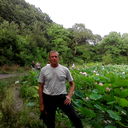  ,   , 49 ,   ,   , c 