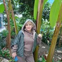  ,   , 55 ,     , c 
