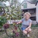  ,   Elena, 59 ,   c , 