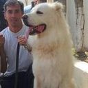 ���������� ����, ���� ������� Azer, 55 ���, ������������ ��� ������, ����� � ���������, c�������� ���������