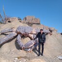 ���������� �����������, ���� ������� ����������, 40 ���, ������������ ��� ������, ����� � ���������