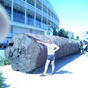  ,   , 43 ,   ,   , c 