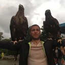 ���������� ���������, ���� ������� ������, 41 ���, ������������ ��� ������, ����� � ���������