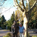  -,   , 71 ,   ,   , 