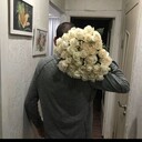 ���������� ������, ���� ������� Bv, 31 ���, ������������ ��� ������, ����� � ���������