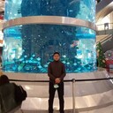 ���������� ������, ���� ������� �����, 33 ����, ������������ ��� ������, ����� � ���������