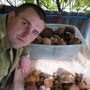 ���������� ������, ���� ������� ������, 40 ���, ������������ ��� ����� � ���������, c�������� ���������