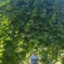  ,   , 56 ,   ,   , c , 