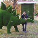 ���������� �����, ���� ������� �������, 49 ���, ������������ ��� ������, ����� � ���������, c�������� ���������, ���������