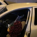 ���������� ������, ���� ������� ����, 28 ���, ������������ ��� ������, ����� � ���������