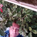 ���������� ����, ���� ������� ������, 52 ����, ������������ ��� ������, ����� � ���������, c�������� ���������