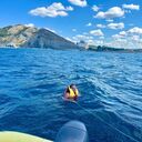 ���������� �����-���������, ���� ������� �����, 36 ���, ������������ ��� ����� � ���������, c�������� ���������