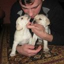  ,   Zigfert, 44 ,   