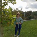 ���������� �����������, ���� ������� ��������, 41 ���, ������������ ��� ������, ����� � ���������