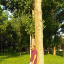 ���������� ������, ���� ������� ������, 41 ���, ������������ ��� ������, ����� � ���������