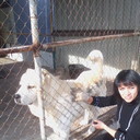  ,   , 48 ,   ,   , c 